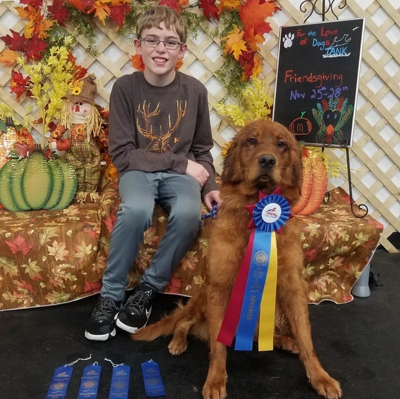 Meet your Posher, Kristy - Picture 2 of 3